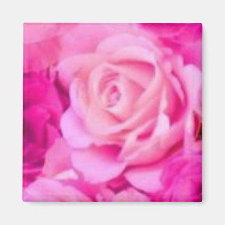 Imán Mapa multipropósito