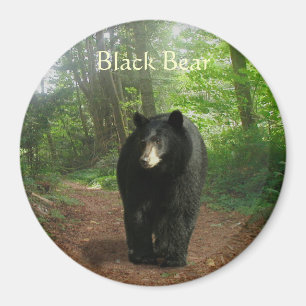 Imán Mapa natural de los bosques de OSO NEGRO