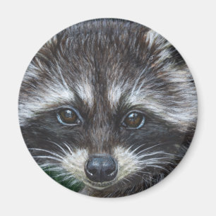 Imán Mapache #3