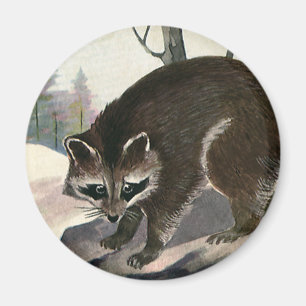 Imán Mapache Antiguo, Animales Salvajes Criaturas del B