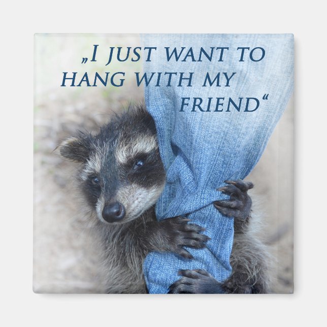 Imán Mapache - relajarse (Frente)