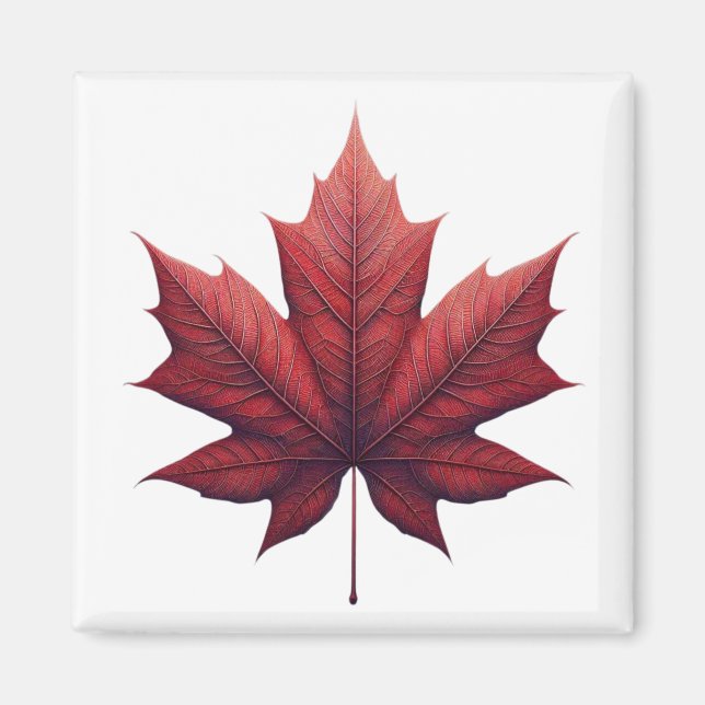 Imán Mapel Leaf (Frente)