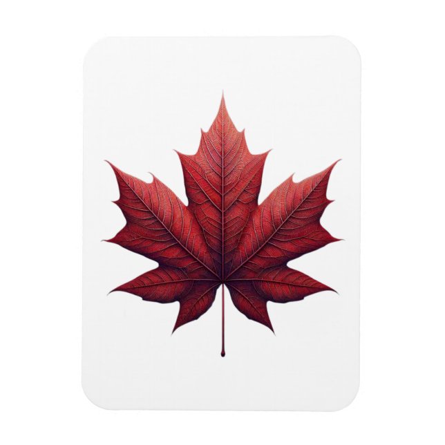 Imán Mapel Leaf (Vertical)