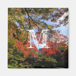 Imán Maples rojos en el jardín japonés