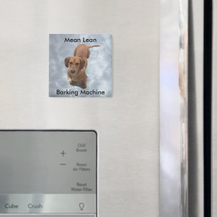 Imán Máquina de ladrido de Dachshund marrón