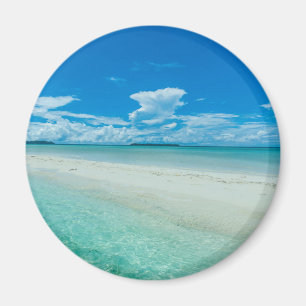 Imán Mar azul tropical, Palaos