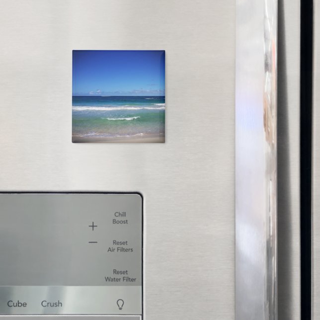 Imán Mar de Punta Cana, República Dominicana (In situ (nevera))