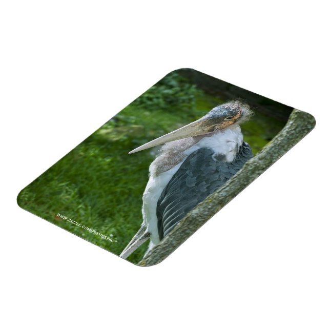 Imán Marabou (Lado Izquierdo)