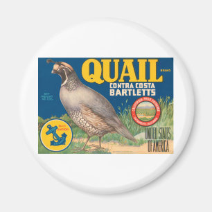 Imán Marca de cola Contra Costa Bartletts