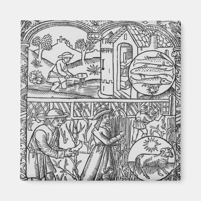 Imán Marcha, pesca y poda de árboles, Pisces (Frente)