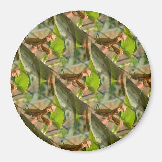 Imán Marchando...... (Frente)