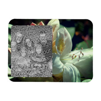 Imán Marco de flor Azalea blanco Añadir la foto