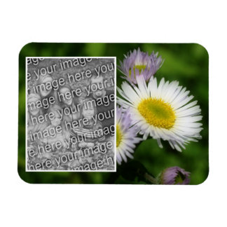 Imán Marco de flores Wild Fleabane Daisy Añadir tu foto