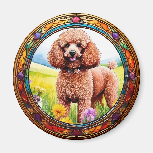 Imán Marco para la imagen (Frente)