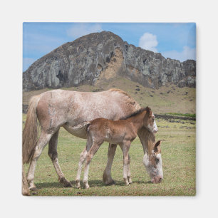 Imán Mare y Colt en el cráter volcánico de Rano Raraku