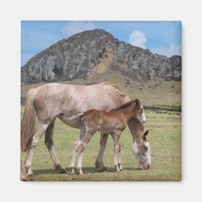 Imán Mare y Colt en el cráter volcánico de Rano Raraku (Frente)