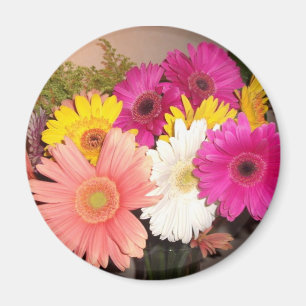 Imán Margaritas del Gerbera