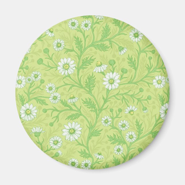 Imán Margaritas en blanco y verde sobre verde miel (Frente)