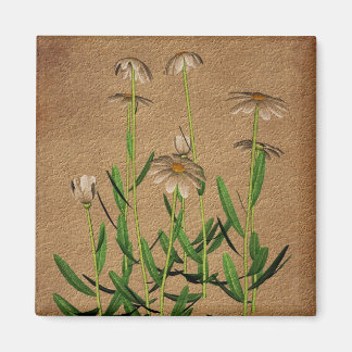 Imán Margaritas en floral de papel envejecida