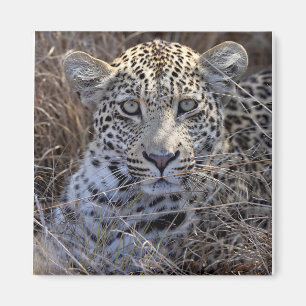 Imán Maribye se esconde en el pasto