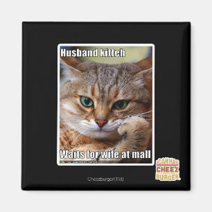 Imán Marido Kitteh