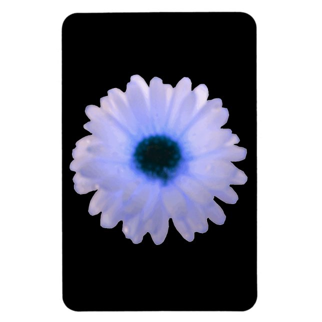 Imán Marigold Premium blanco y azul (Vertical)