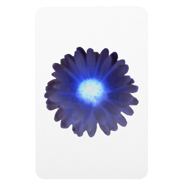 Imán Marigold Premium Blue Glow (Vertical)
