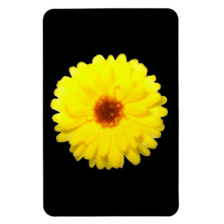 Imán Marigold Premium Fluorescente Amarillo