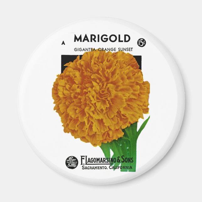 Imán Marigold Vintage Seed Packet (Frente)