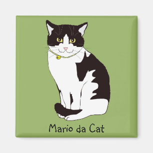 Imán Mario da Cat