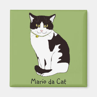 Imán Mario da Cat