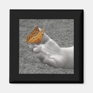 Imán Mariposa