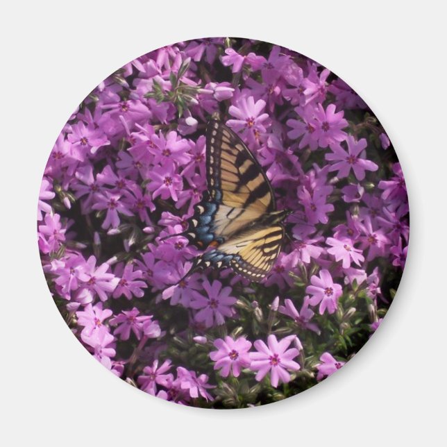 Imán Mariposa (Frente)