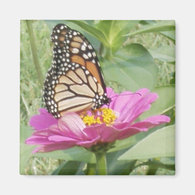 Imán Mariposa (Frente)