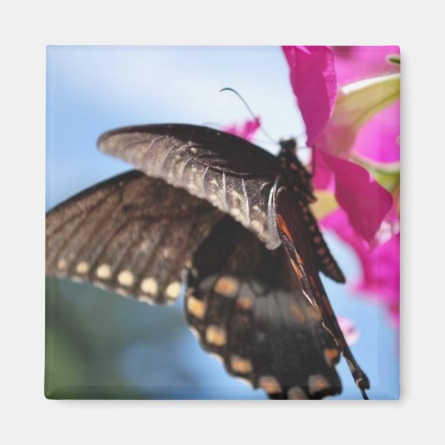 Imán mariposa (Frente)