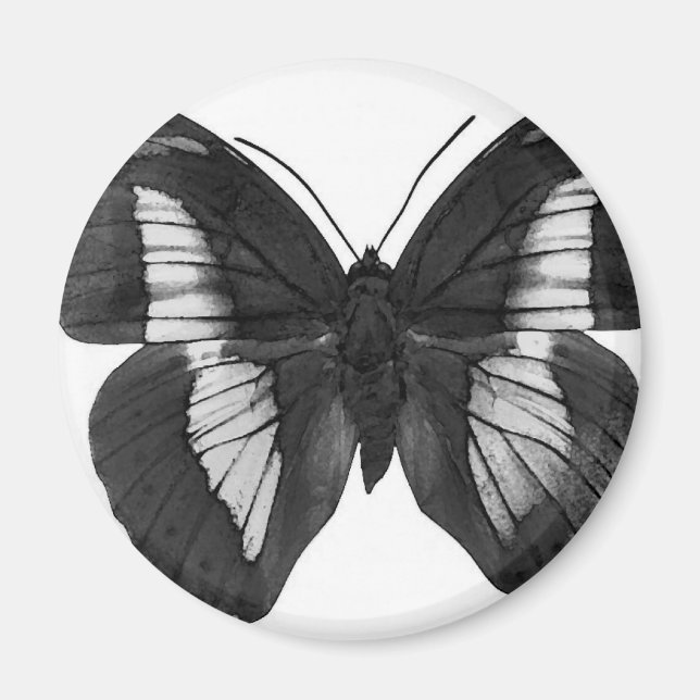 Imán Mariposa (Frente)