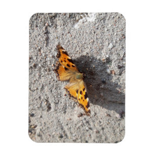 Imán Mariposa al sol