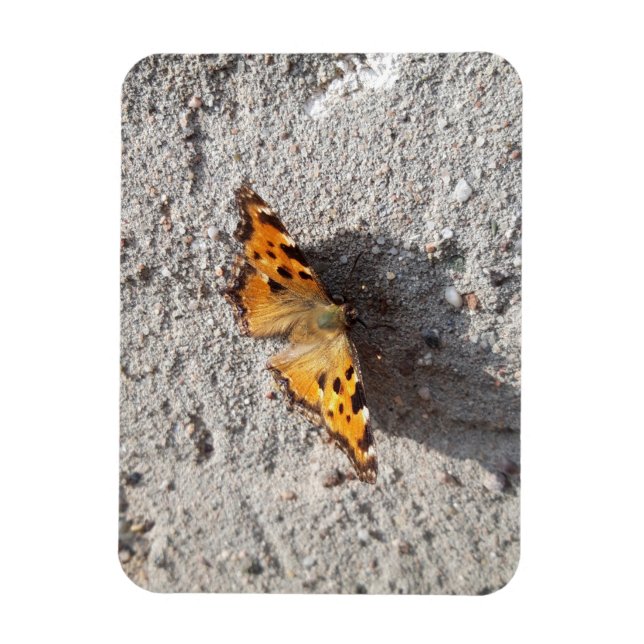 Imán Mariposa al sol (Vertical)