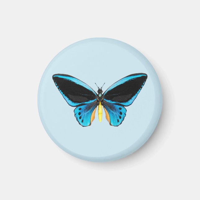 Imán Mariposa Ala de Pájaro (Frente)