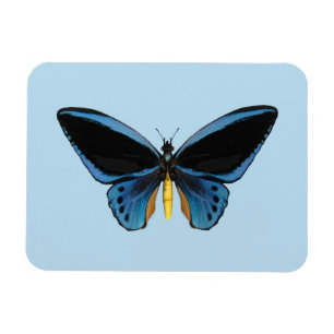 Imán Mariposa Ala de Pájaro