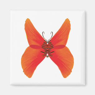 Imán Mariposa Amapola Naranja Roja con Tu Nombre