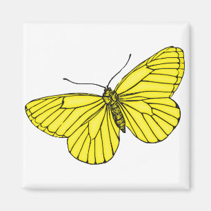 Imán Mariposa amarilla