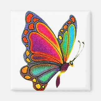 Imán Mariposa arcoiris