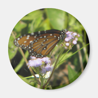 Imán Mariposa aterriza en una flor