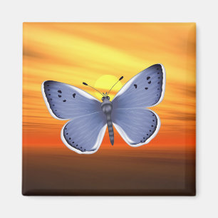 Imán Mariposa azul