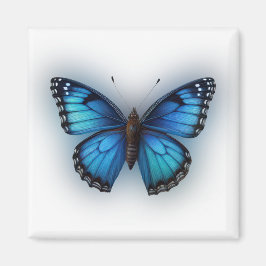 Imán Mariposa azul
