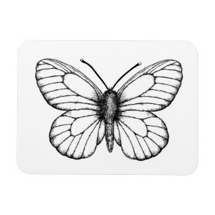Imán Mariposa blanca