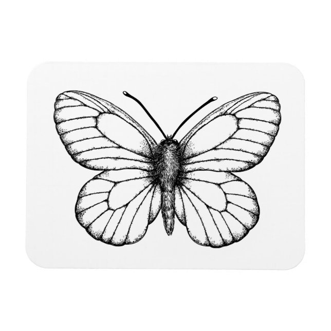 Imán Mariposa blanca (Horizontal)