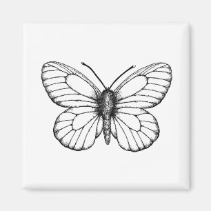 Imán Mariposa blanca