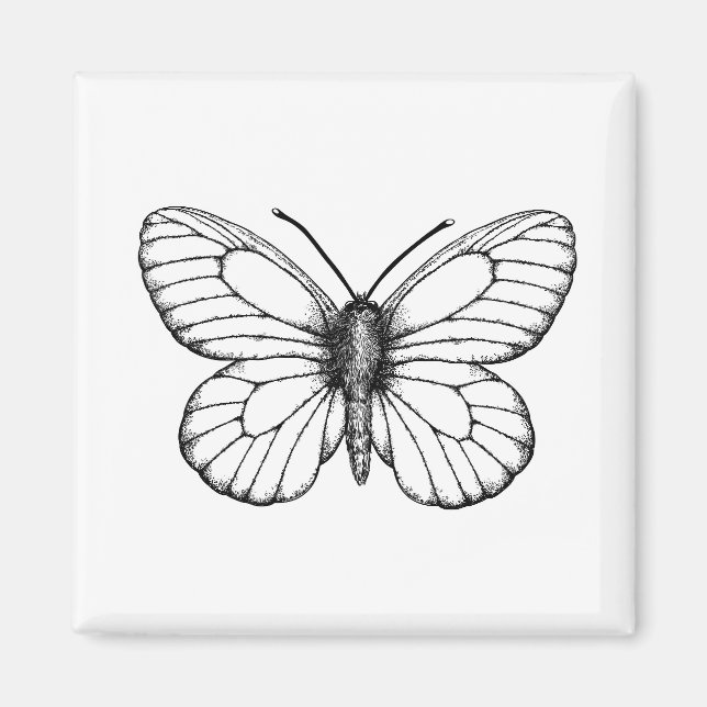 Imán Mariposa blanca (Frente)